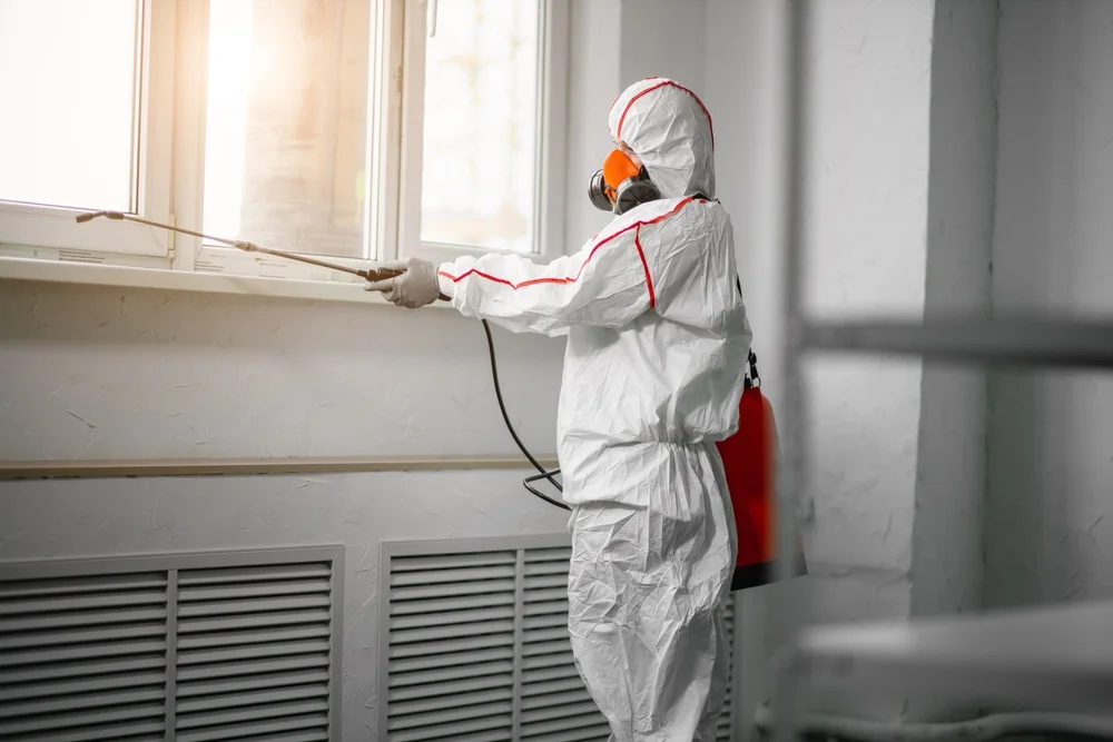 Professional mold remediation services in Sheridan, AR